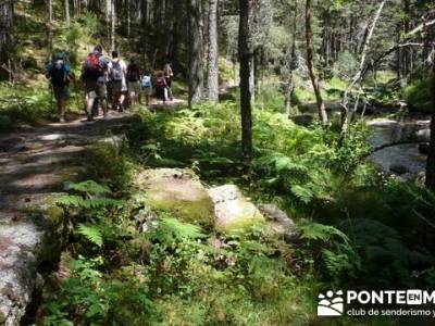 Las Pesquerías Reales - Senderismo Segovia (Ruta de las Pesquerías Reales); turismo en la sierra d